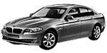 BMW F10 P1D8C Fault Code